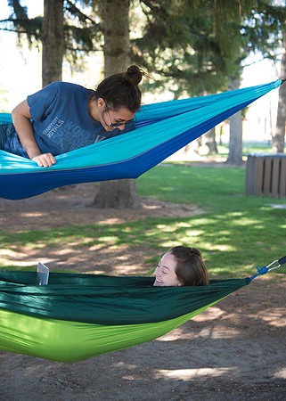 Students love to put up hammocks at Porter Park during the Spring semester.