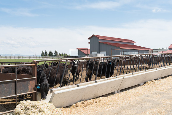 Agriculture Science Center, Spring 2017