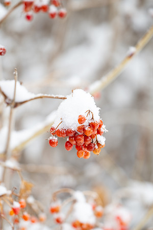 Winter Campus - Dec 2024
