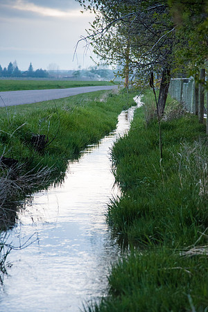 Spring in the Rexburg Area.
