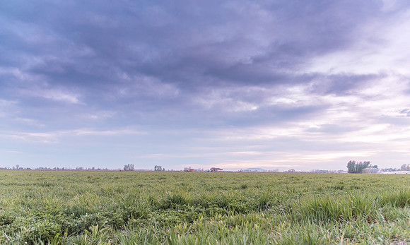 Spring in the Rexburg Area.