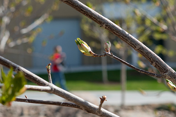 Back to Shool April 2014.