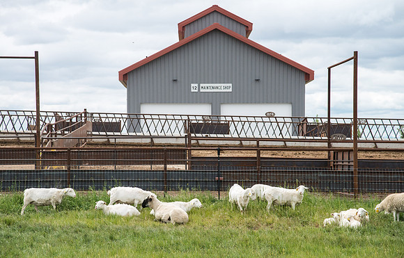 Open house for the newly dedicated Agriculture Science Center.