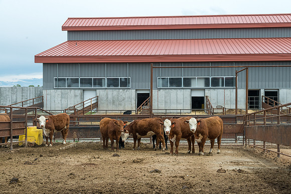 Open house for the newly dedicated Agriculture Science Center.