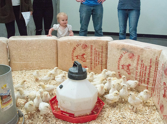 Open house for the newly dedicated Agriculture Science Center.