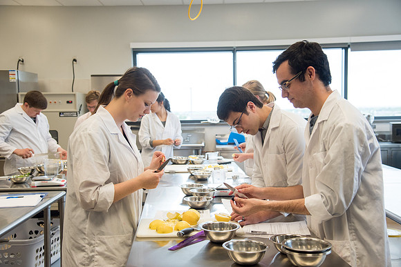 The Food Processing Lab in the Science and Technology Center.