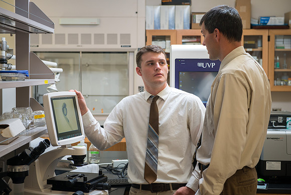 Caleb Bailey, a Biology Professor mentors Student-Mentored research, using zebra fish to study cancer metastasis.