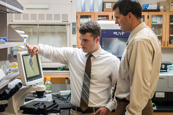 Caleb Bailey, a Biology Professor mentors Student-Mentored research, using zebra fish to study cancer metastasis.