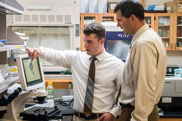 Caleb Bailey, a Biology Professor mentors Student-Mentored research, using zebra fish to study cancer metastasis.