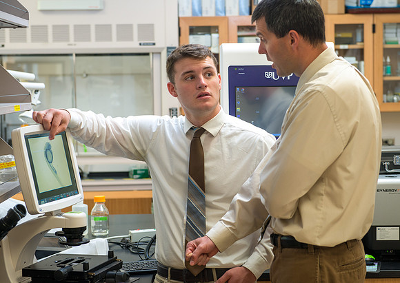 Caleb Bailey, a Biology Professor mentors Student-Mentored research, using zebra fish to study cancer metastasis.