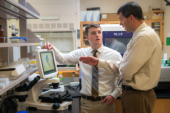 Caleb Bailey, a Biology Professor mentors Student-Mentored research, using zebra fish to study cancer metastasis.