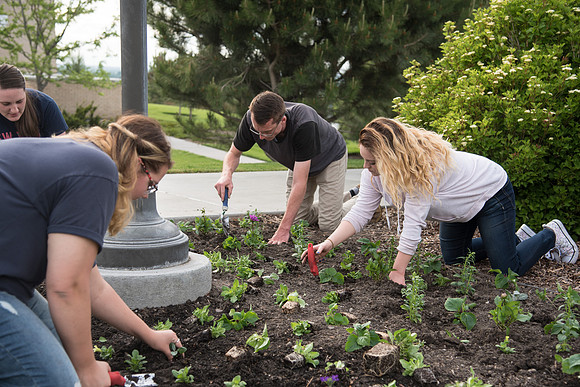 Students gather together to plant flowers on the temple grounds.