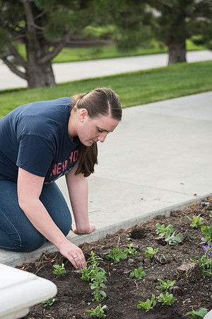Students gather together to plant flowers on the temple grounds.