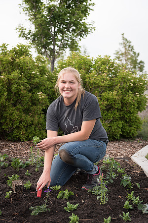 Students gather together to plant flowers on the temple grounds.