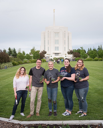 Students gather together to plant flowers on the temple grounds.