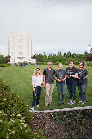 Students gather together to plant flowers on the temple grounds.
