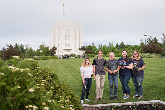 Students gather together to plant flowers on the temple grounds.