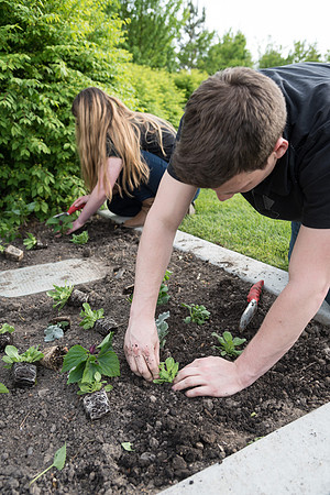Students gather together to plant flowers on the temple grounds.