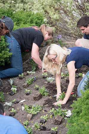 Students gather together to plant flowers on the temple grounds.