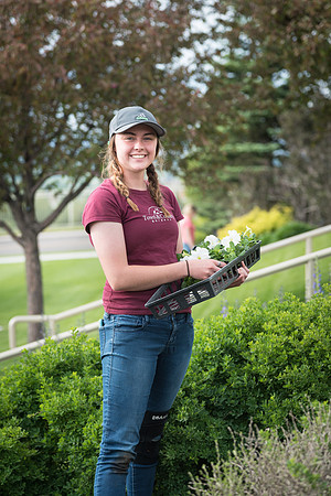 Students gather together to plant flowers on the temple grounds.