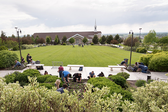 Students gather together to plant flowers on the temple grounds.