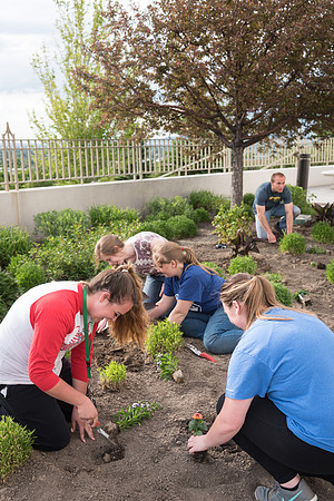 Students gather together to plant flowers on the temple grounds.