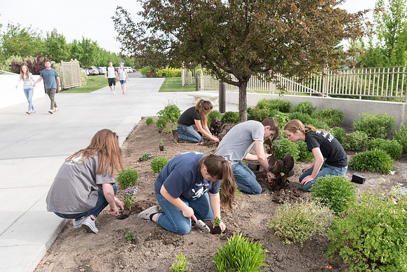 Students gather together to plant flowers on the temple grounds.