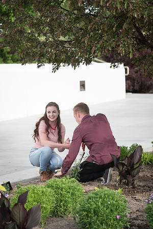Students gather together to plant flowers on the temple grounds.