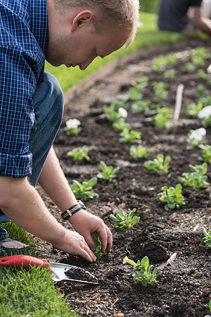 Students gather together to plant flowers on the temple grounds.