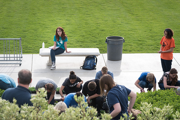 Students gather together to plant flowers on the temple grounds.