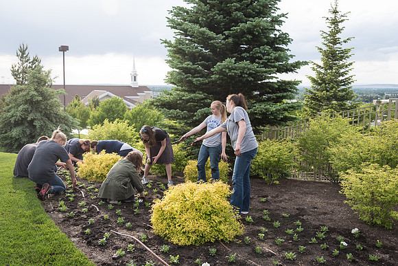 Students gather together to plant flowers on the temple grounds.