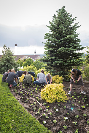 Students gather together to plant flowers on the temple grounds.