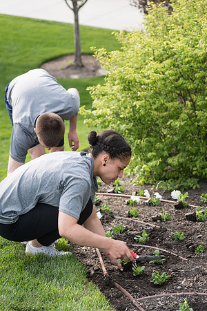 Students gather together to plant flowers on the temple grounds.