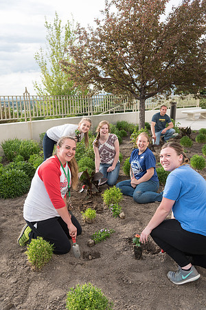 Students gather together to plant flowers on the temple grounds.