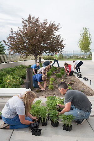 Students gather together to plant flowers on the temple grounds.
