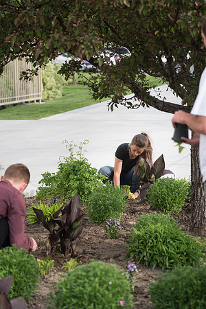 Students gather together to plant flowers on the temple grounds.