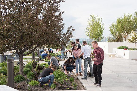 Students gather together to plant flowers on the temple grounds.