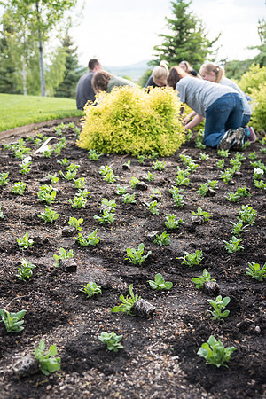 Students gather together to plant flowers on the temple grounds.
