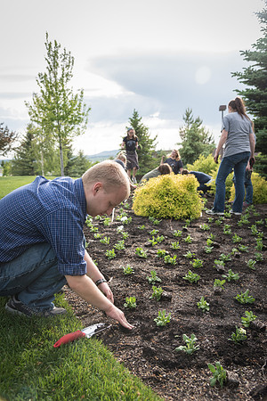 Students gather together to plant flowers on the temple grounds.