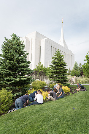 Students gather together to plant flowers on the temple grounds.