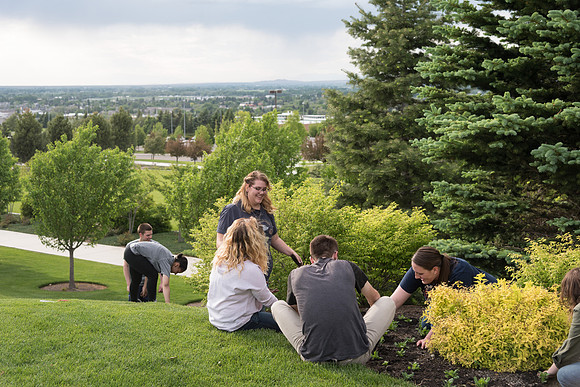 Students gather together to plant flowers on the temple grounds.