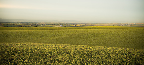 The Rexburg Area from a drive through Rexburg.