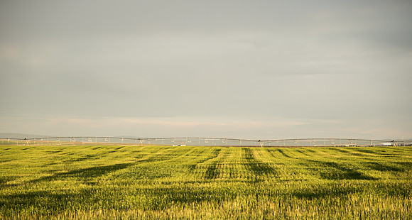 The Rexburg Area from a drive through Rexburg.
