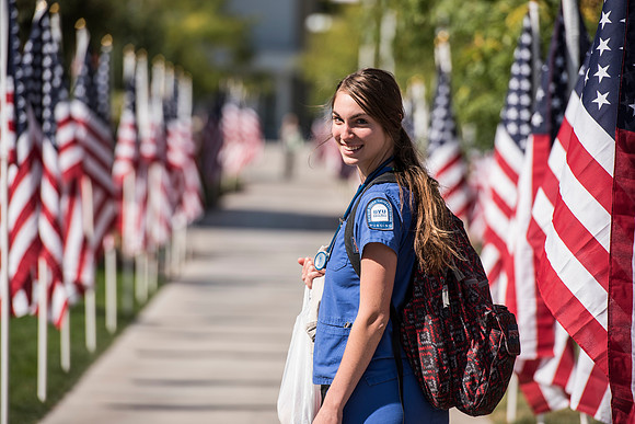 500 flags displayed in the Central Quad on Constitution Day.