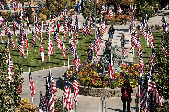 500 flags displayed in the Central Quad on Constitution Day.