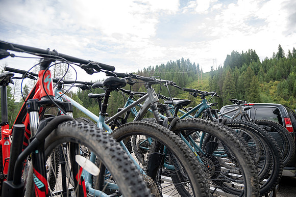 Mountain bikes.