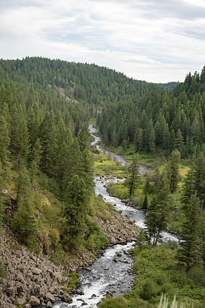Scenery found on the mountain biking trail.