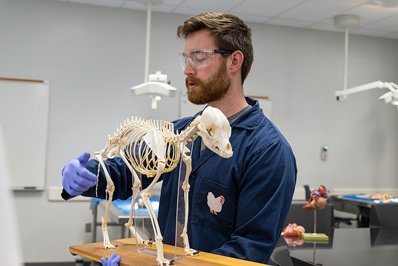 Animal Science Lab - April 2025