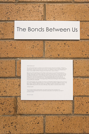 Bachelor of Fine Art students exhibit their senior projects they have been working on for two semesters.