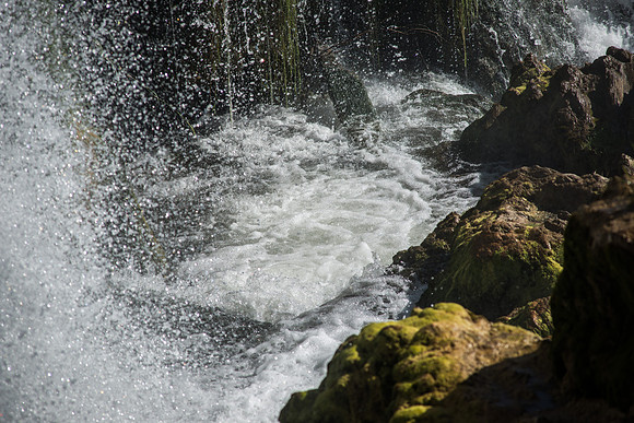 The University Relations Photography team visited Fall Creek Falls for a photo excursion. 2017